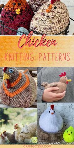 knitted chickens sitting on top of each other with the words chicken knitting patterns above them