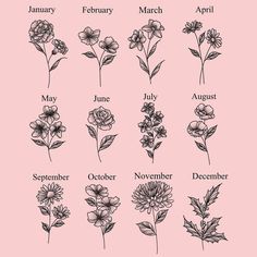 the months and flowers in english