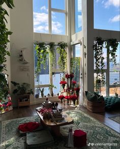 a living room filled with lots of windows and plants on the wall next to it