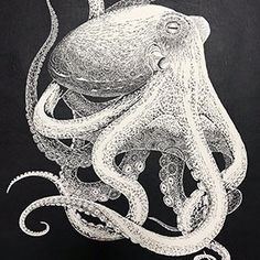 an octopus drawing in white ink on black paper