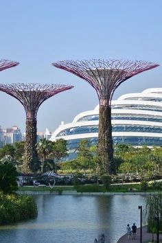 some very pretty trees by the water in front of some big buildings with people walking around them