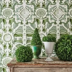 three potted plants sit on top of a table in front of a wallpapered background