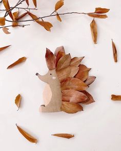 a hedgehog made out of leaves on a white surface with twigs and branches in the background