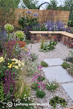 a garden filled with lots of different types of flowers