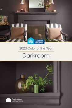 the color of the year is darkroom