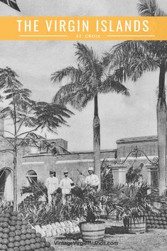 the virgin islands, st croix is shown in this black and white photo with palm trees