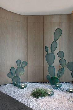 three green plants sitting on top of a white rock covered ground in front of a wooden wall