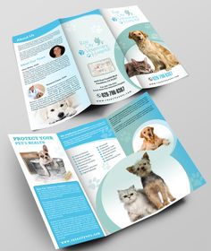 an open brochure with pictures of dogs and kittens on the front page