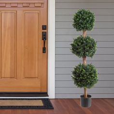 two potted trees are next to a door