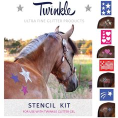 Stencil Kit For Horses My Horse, Glitter Gel, Shooting Star, Shooting Stars, Twinkle Twinkle, Flag, Horses, Glitter, Stars