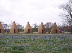 three brown buildings sitting in the middle of a field with blue flowers growing around them