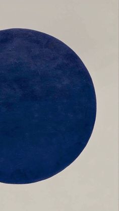 a blue circular object on a white background