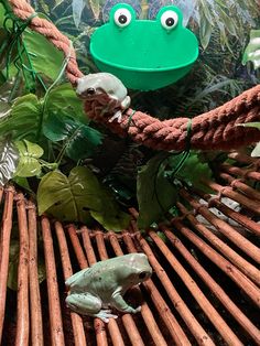 a frog statue sitting on top of a wooden table next to plants and other items