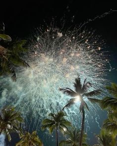 fireworks and palm trees are lit up in the night sky with bright lights on them