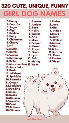 a dog's name and its meanings