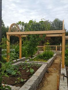 an outdoor garden with lots of plants growing in it