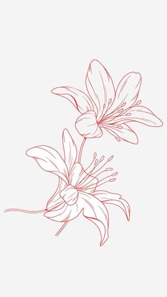 a drawing of two flowers on a white background