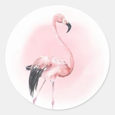 a pink flamingo is standing in front of a white circle with black stripes on it