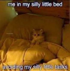 a cat that is sitting on top of a pillow in a chair with the caption, me in my silly little bed avoiding my silly little tasks