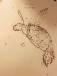 a pencil drawing of a turtle with bubbles on it's back and its head above the water