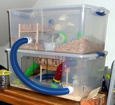 a large bird cage with a blue hose attached to it's front and bottom