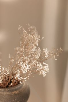 a vase filled with white flowers on top of a table