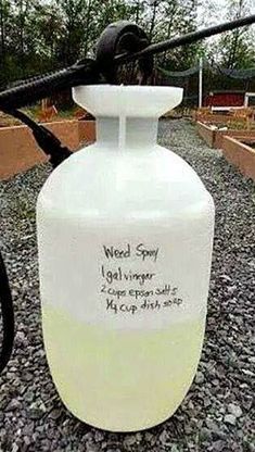 Weeds Be Gone1 Gallon Vinegar 2 Cups Epson Salts 1/4 Cup Original Blue Dawn Dish Soap Mix and spray in the morning after the dew has evaporated. Pots Diy, Garden Weeds, Have Inspiration, Yard Work, Lawn And Garden, Lawn Care, Organic Gardening, Backyard Garden, Garden Projects