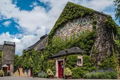 an old building covered in vines and ivy