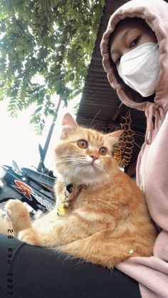 an orange cat wearing a face mask sitting on the hood of a car next to a woman