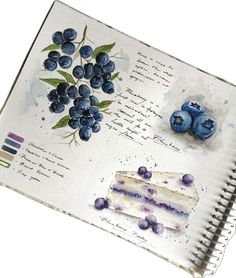 an open notebook with blueberries and cake on the page, watercolors are used