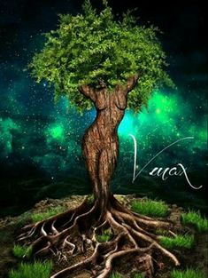 a tree with its roots in front of the sky and stars above it is an image of