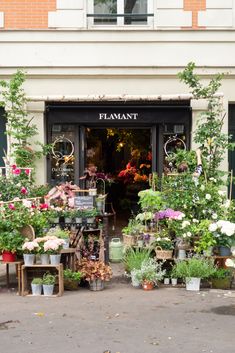 a flower shop with lots of potted plants