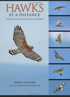 hawks at a distance identification of migrating raptors