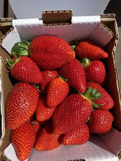 a cardboard box filled with lots of ripe strawberries