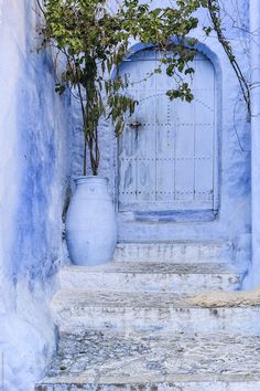 an alley way with blue walls and potted plants on the steps leading up to it