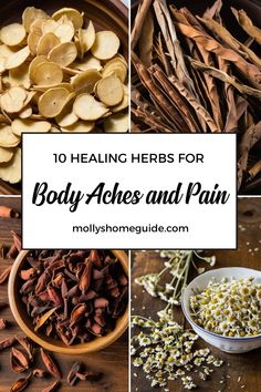 various types of herbs for body and pain with text overlay that reads, 10 healthing herbs for body and pain