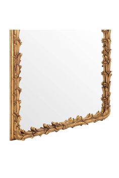 an ornate gold framed mirror with leaves on it's sides and a white background