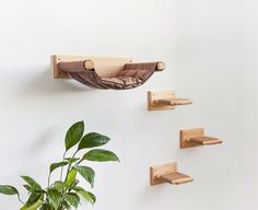 there is a potted plant on the wall next to some wooden shelves and hooks