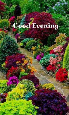 a garden filled with lots of colorful flowers and plants next to a stone path that says good evening