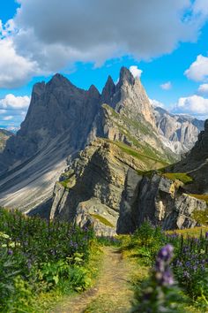 a path leading to the top of a mountain with purple flowers growing in front of it