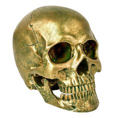 a gold colored skull head on a white background with clippings to the side