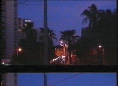 the city lights shine brightly at night in the distance, with palm trees and buildings behind them