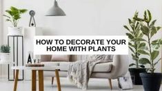 a living room filled with furniture and potted plants on top of it's tables