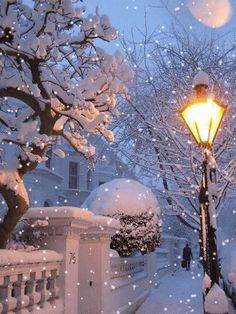 a street light covered in snow next to a white fence and tree with lots of snow on it