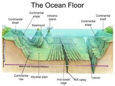 the ocean floor is divided by layers of sand, water and other things that are in it