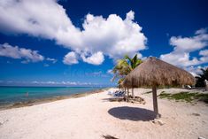 a beach with palm trees and chairs under a thatched umbrella