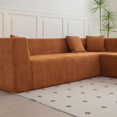 a brown couch sitting on top of a white rug next to a plant in a living room