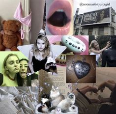 a collage of photos with cats and people in them, including a woman holding a teddy bear