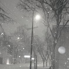 a street light in the middle of a snow storm with trees and buildings behind it