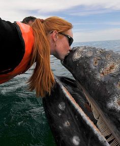 a woman with long red hair and sunglasses is kissing a gray whale in the ocean